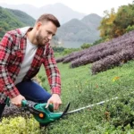 garden tools (1)